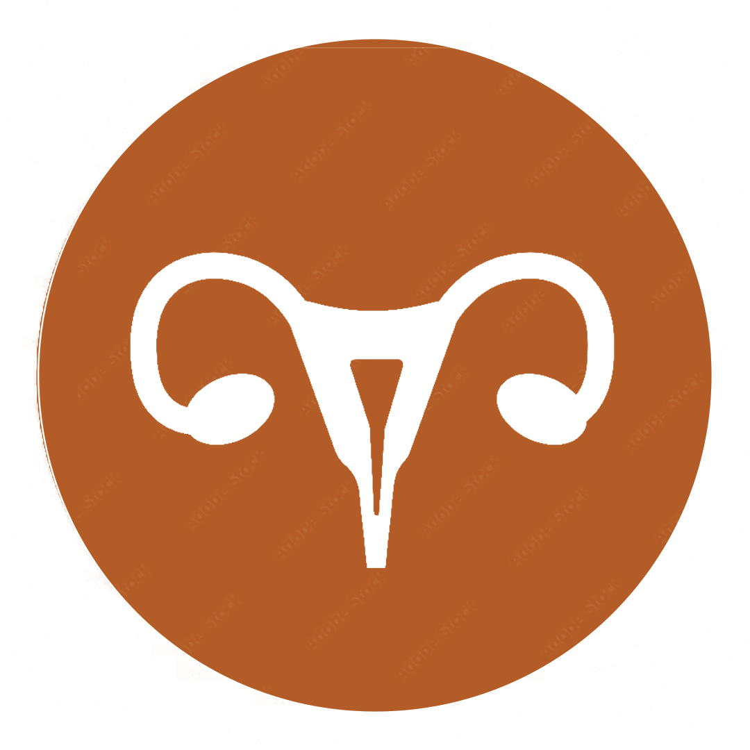 Ginekoloji Həkimlər İkonu